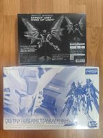 RG Destiny Gundam Titanium finish + Wing of Light
