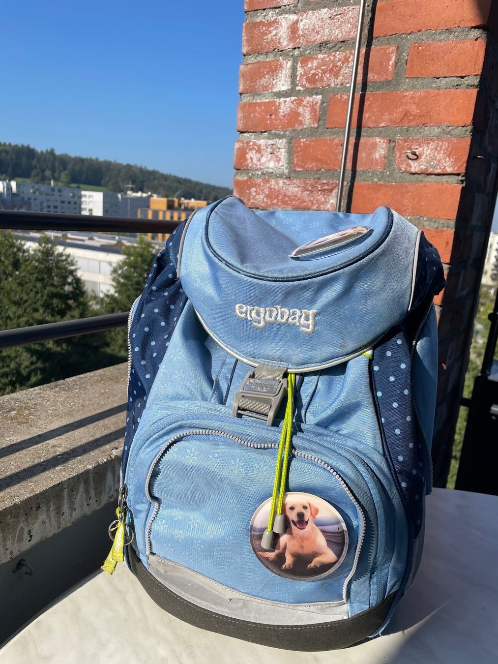 Ergobag Borse & Zaini: Ergbag Schulthek-Set – Usato da Zürich venduto da Andih1 1