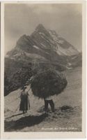 Landwirtschaft/Alpwirtschaft 1920 Heuet BRAUNWALD GL