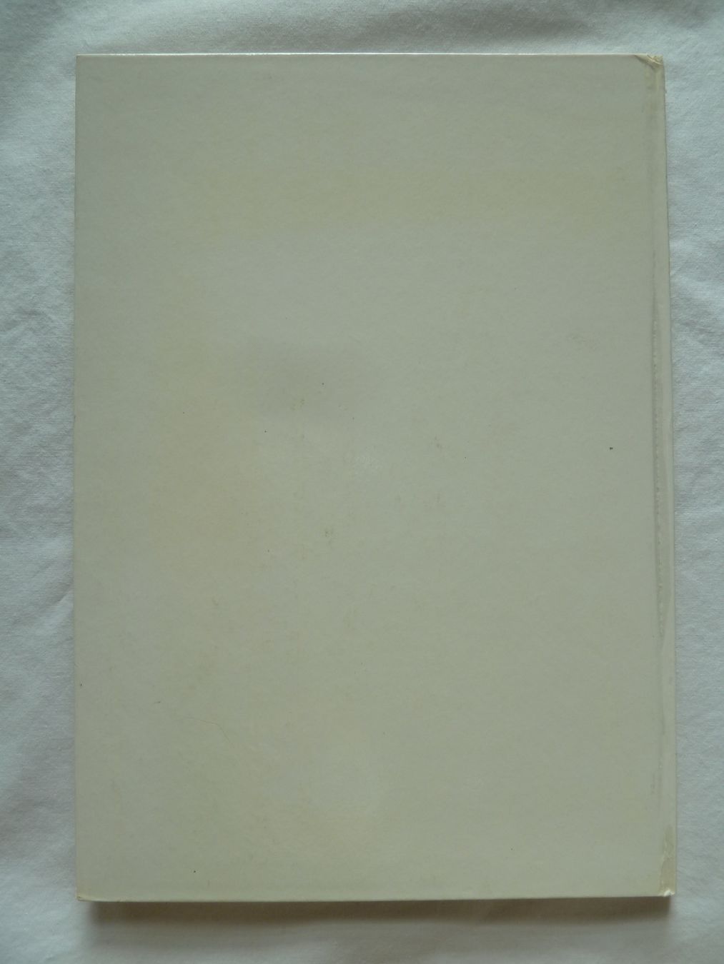 Bücher: Bildband Seegfrörne 63 - Das Tagebuch vom grossen Eis – Gebraucht aus Herzogenbuchsee von seeleopard 2
