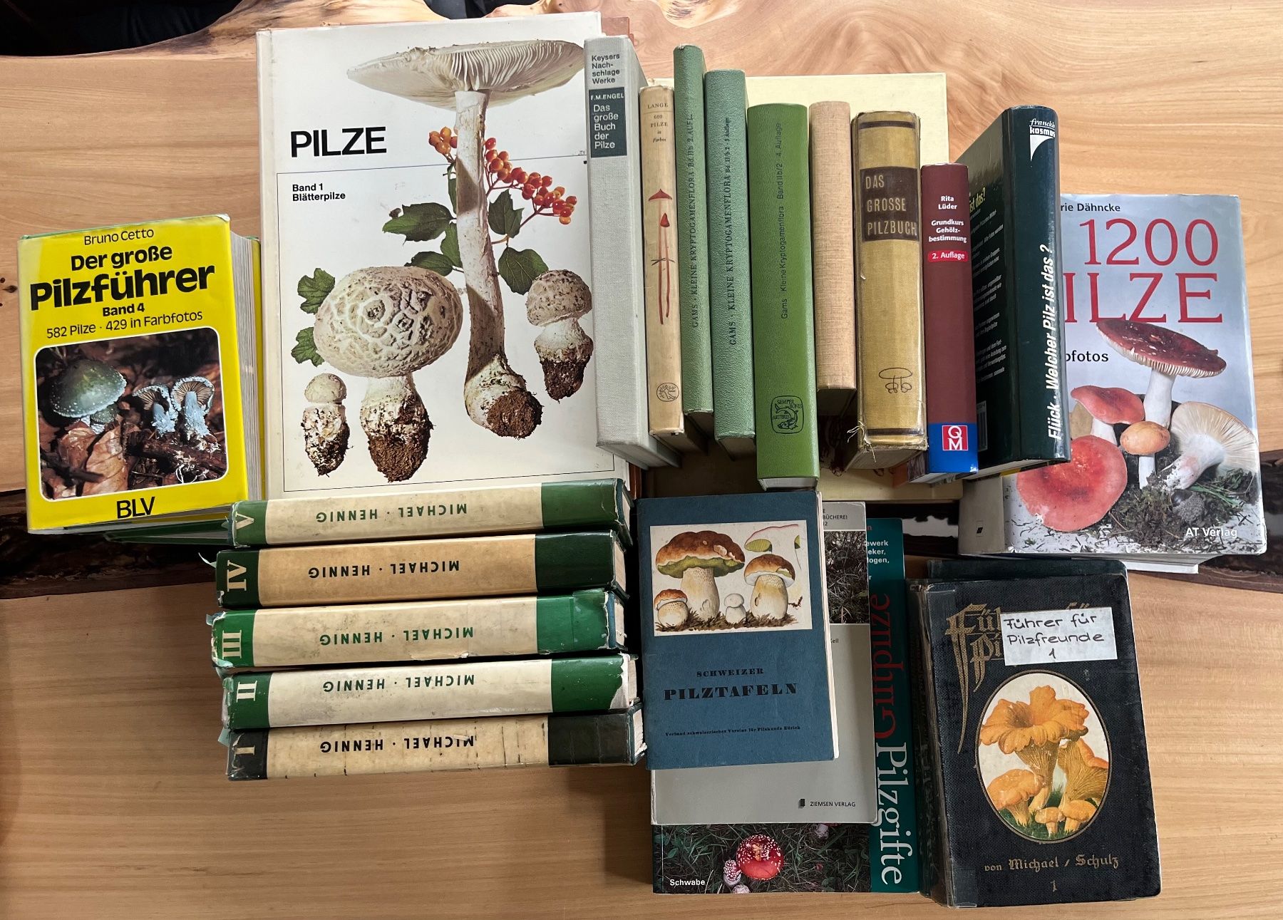 Libri: Pilzbücher diverse antiquarisch – Usato da Märwil venduto da tricholoma