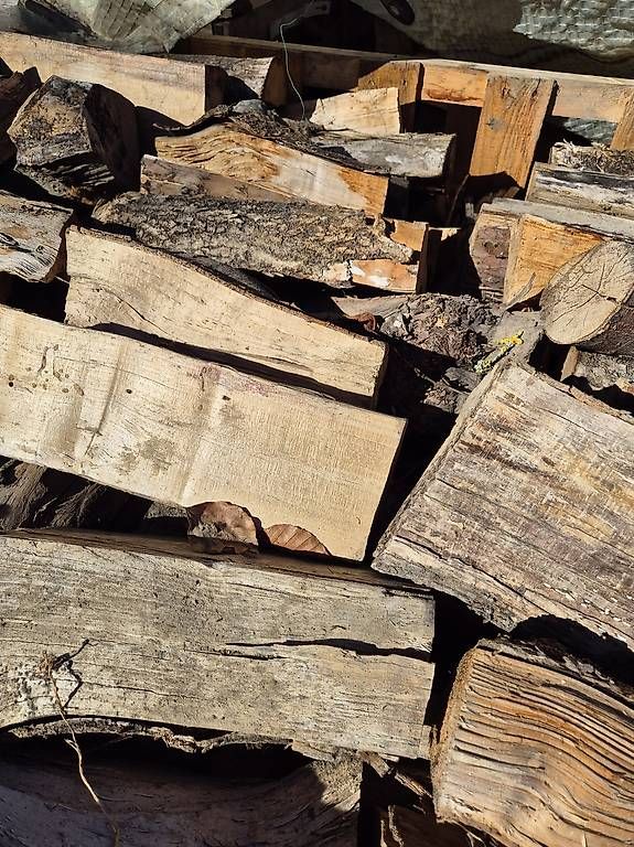 Articoli in legno: Brennholz gemischt  – Nuovo e nell'imballaggio originale da Schlieren venduto da Physik