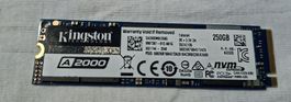 Kingston M.2 NVMe SSD mit 250 GB