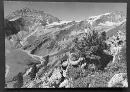 Trinserhorn, Sardonagebirge, ca 1960