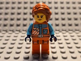 Lego Arktis (cty1894)