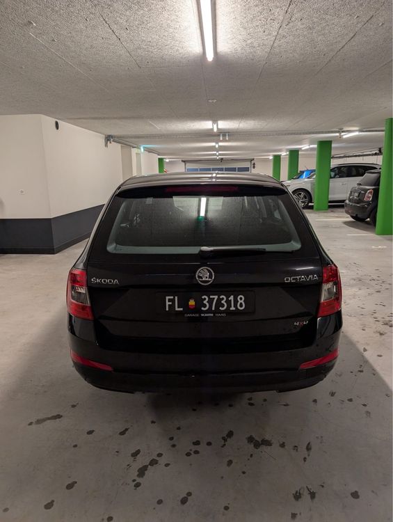 Skoda Automobili: SKODA Octavia Combi 1.6d 4x4 * Frisch ab MFK * – Usato da Vaduz venduto da TRANS-AGRAR 2