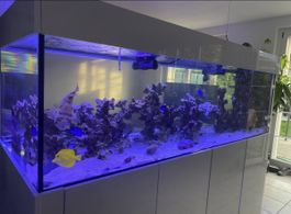 Aquarium 1000 Liter 