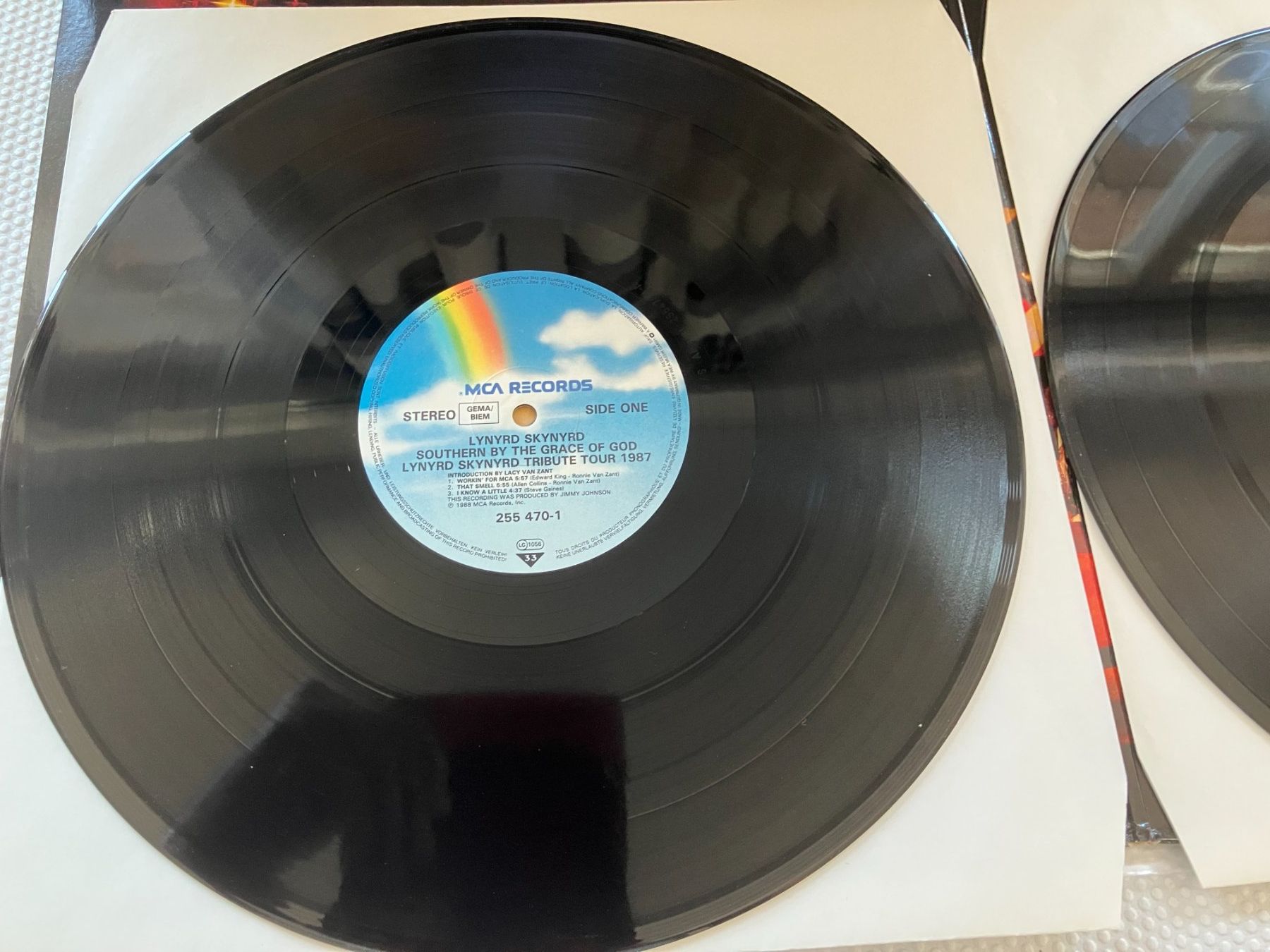 Dischi in vinile: Lynyrd Skynyrd – Usato da Aarwangen venduto da Jukebox3 6
