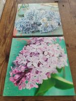 2er Set Blumenbilder, Frühlingsdeko, Hortensien & Flieder 🌸