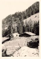 Königsboden Alphütten im Bergwald 1920 foto 13 x 9