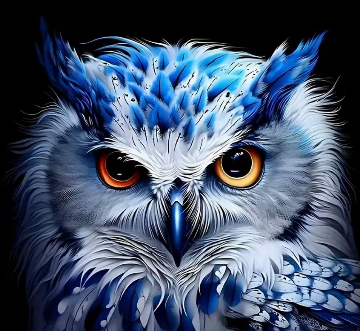 Kit bricolage: Diamond Painting: Eule 40x40cm – Nuovo e nell'imballaggio originale da Teufenthal AG venduto da MeineSchatztruhe