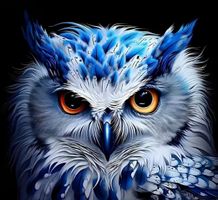 Diamond Painting: Eule 40x40cm