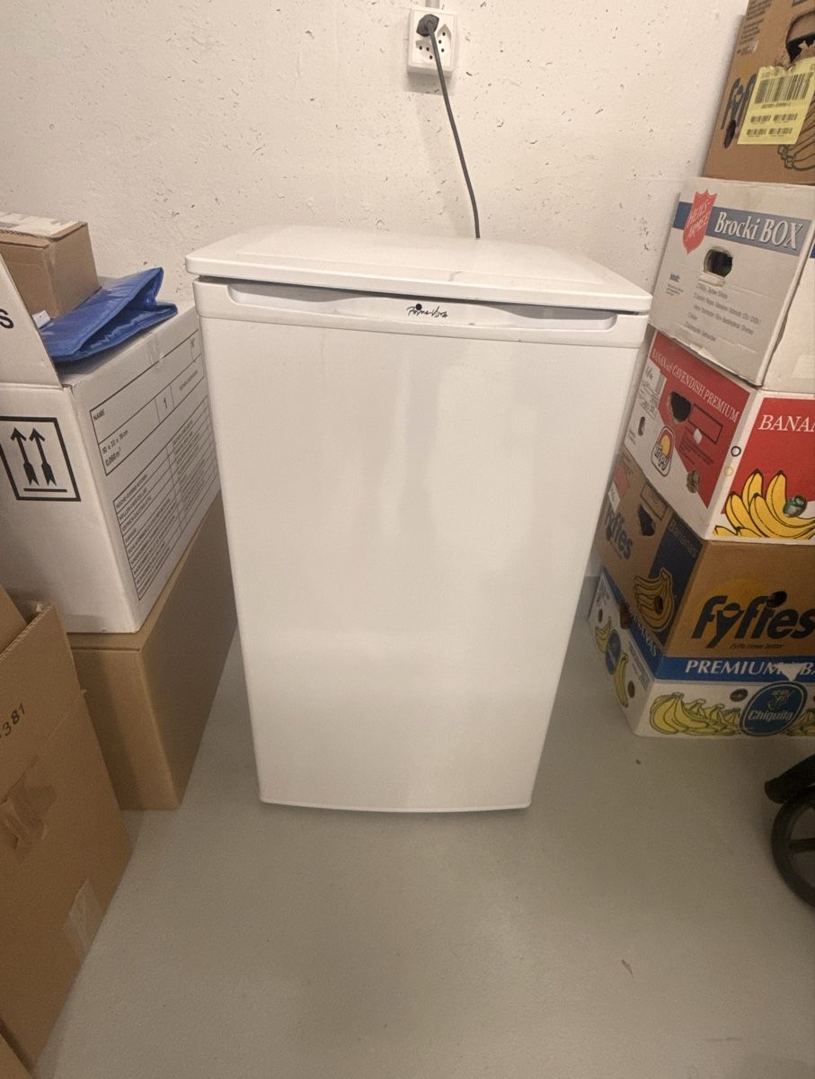 Congelatori: Tiefkühler Prima Vista 64 l – Nuovo (secondo la descrizione) da Stachen venduto da Endlose_red_demon 2