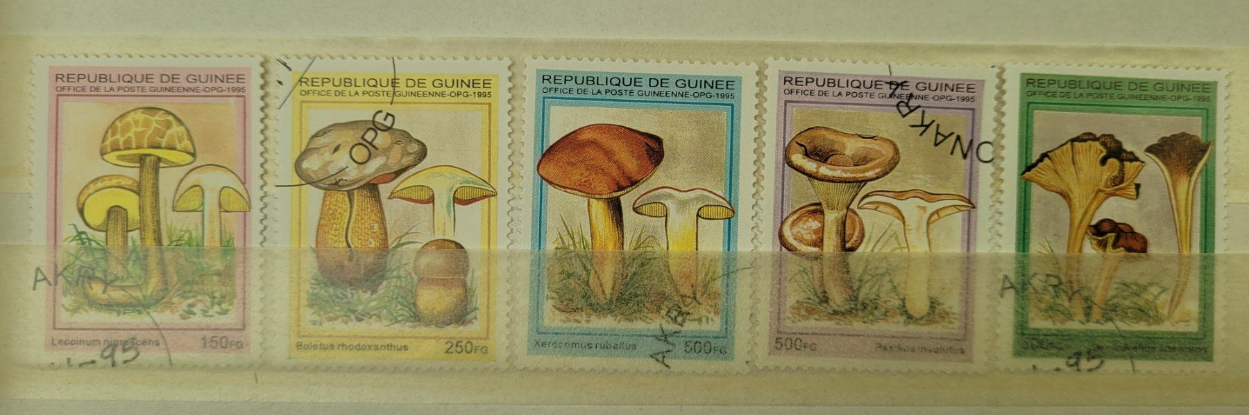 Tutti i francobolli: GUINEA – PILZE / CHAMPIGNONS – Usato da Neftenbach venduto da Mador6