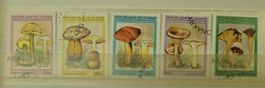 GUINEA – PILZE / CHAMPIGNONS