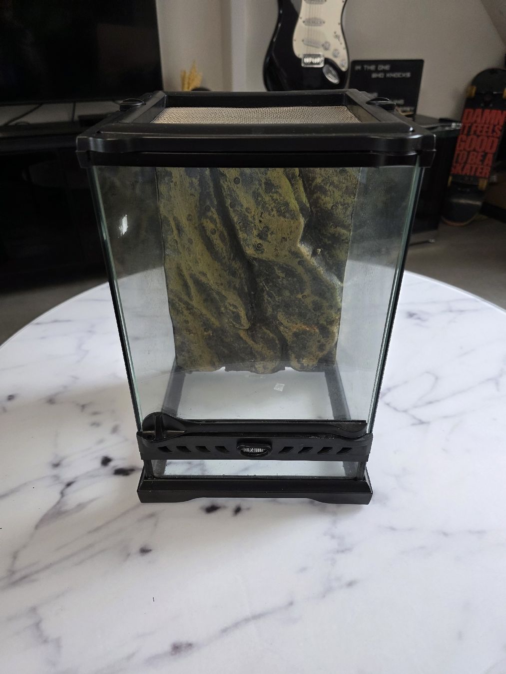 Exo terra Terrario: Exoterra Terrarium – Usato da Oberwil (Dägerlen) venduto da sid_b5l6
