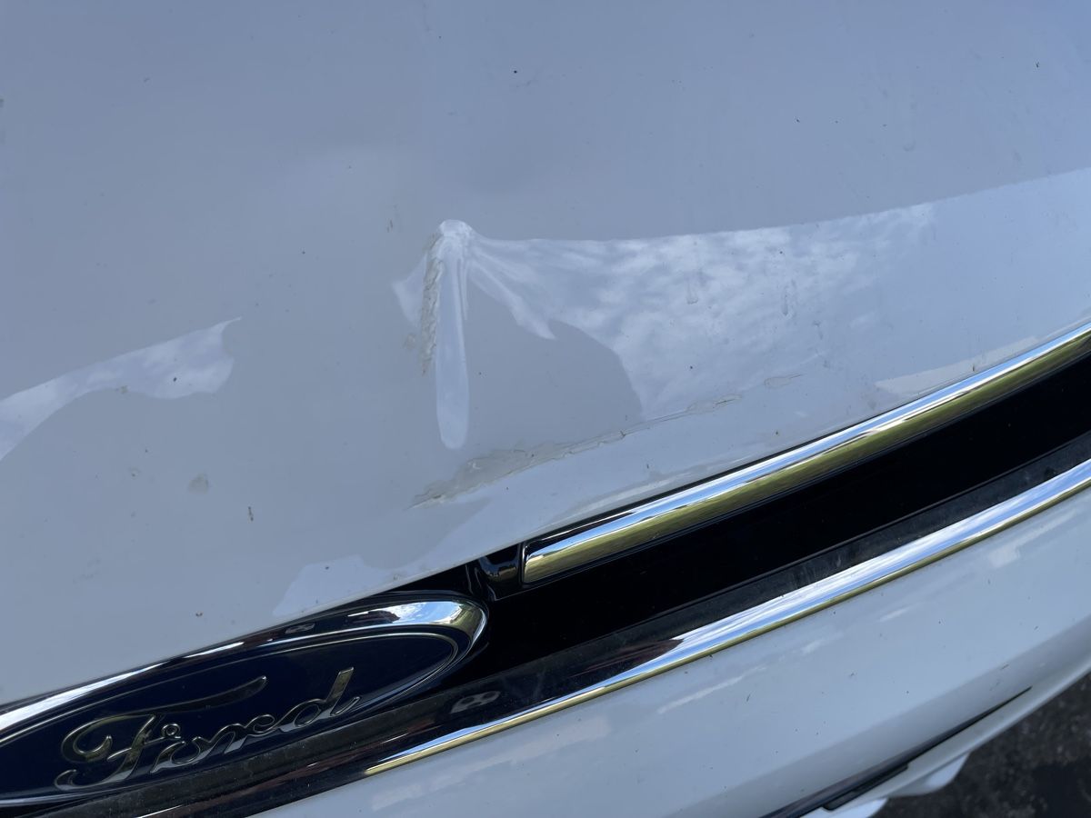 Ford Autos: Ford Kuga – Gebraucht aus Reinach AG von pred1512 3