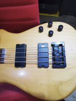 SPECTOR NS-94 aktiv Bass