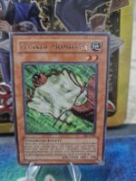Yugioh Flinker Momonga