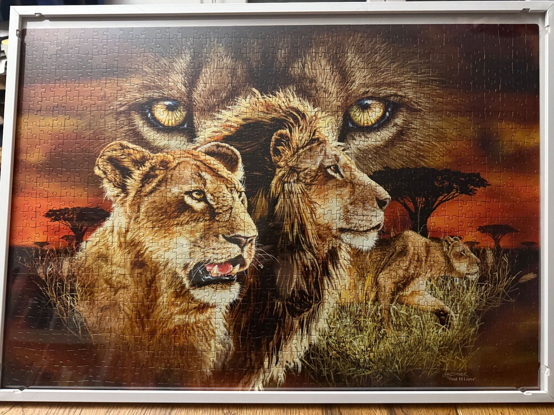 Puzzle: Puzzle mit Rahmen Löwen 1000 Teile -Limit Edition – Usato da Teufenthal AG venduto da MeineSchatztruhe 1