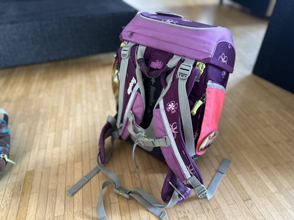 Ergobag Sacs & sacs à dos: Ergobag, mit Turnsack und Regenschutz – D'occasion à Altstätten SG par sar_65sw 2