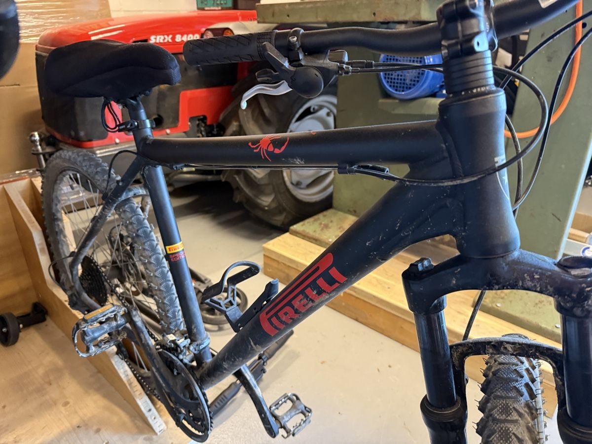 Vélos: Velo Pirelli Special Edition Herren Occasion – D'occasion à Schinznach-Dorf par Ladjie-Aa 3