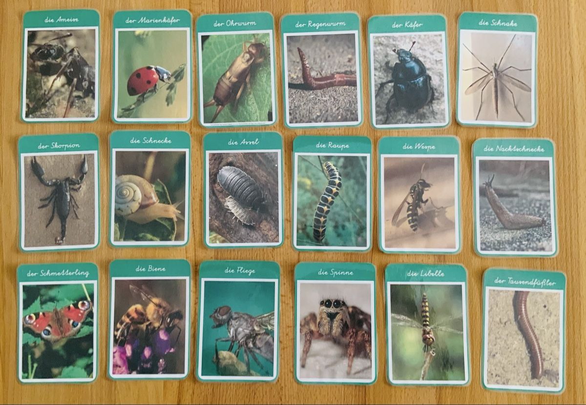 Giochi: Bilder - Lernkarten, ca170 stk. Deutsch, laminiert, – Nuovo (secondo la descrizione) da Lufingen venduto da lotzstef 8