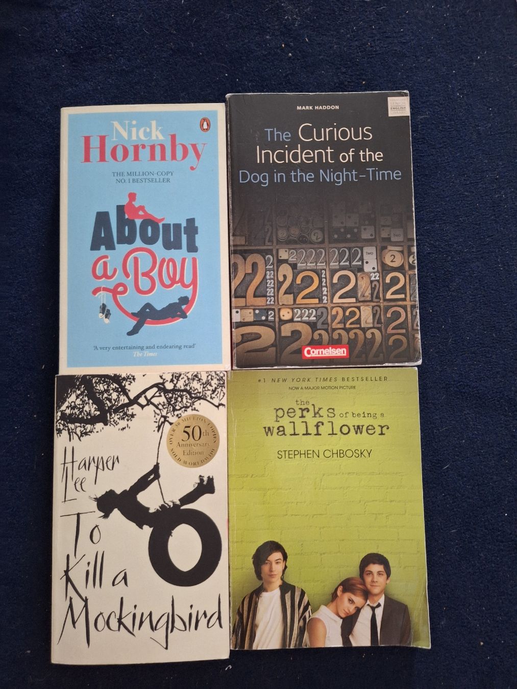 Libri: 4 Englischbücher – Usato da Sursee venduto da Schuepbi