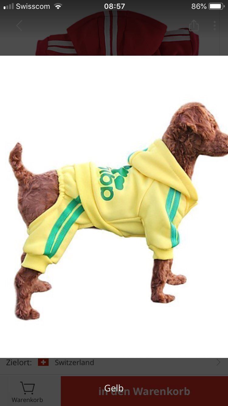 Vêtements: Hundebekleidung – Neuf (Voir description) à Root par NaBr76 6