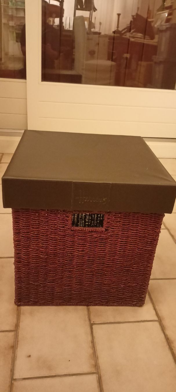 Altro in Decorazioni & Accessori: une caisse de rangement de chambre a coucher dimension 41/41 – Usato da GENEVE venduto da goldforall