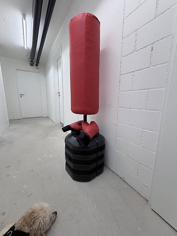Sacchi da boxe: Boxsack mit Boxhandschuhen für Kinder – Usato da Zumikon venduto da Marin1986 1