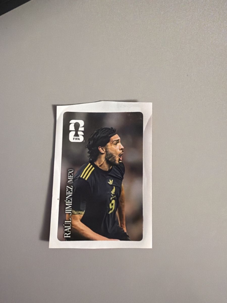 Panini Carte collezionabili: Coca Cola Panini Raul Jimenez – Usato da Aarburg venduto da demeli