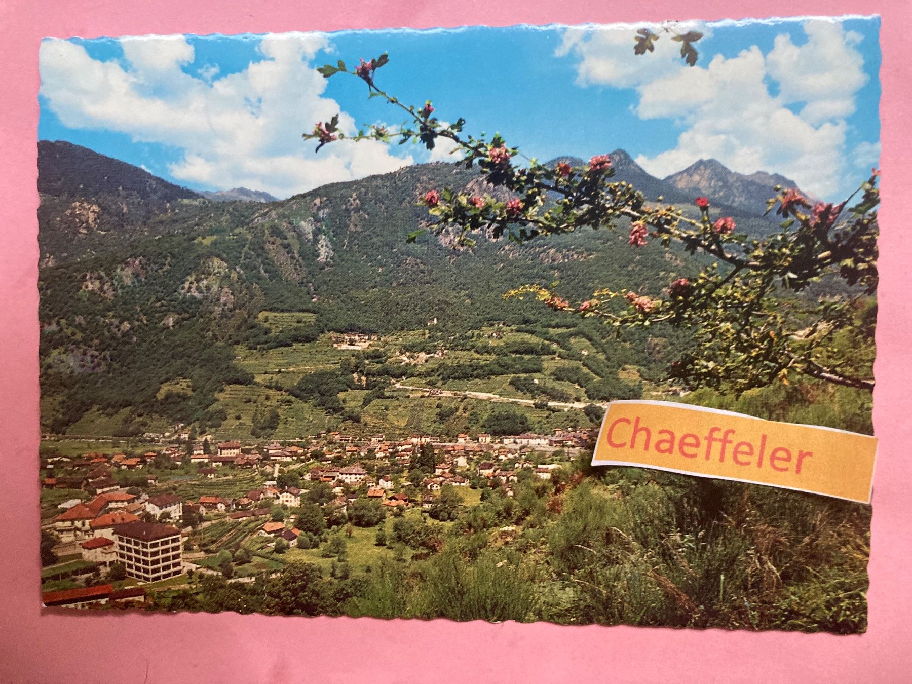 Cartoline postali: Roveredo (Grig) – Usato da Zürich venduto da Chaeffeler