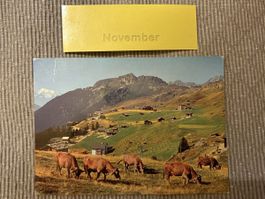 AK von Riederalp mit Bergpanorama