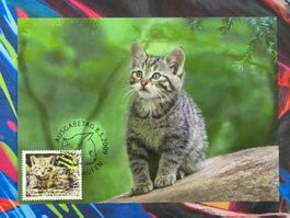 CL26 2x Carte Postale + Timbre Suisse 2009