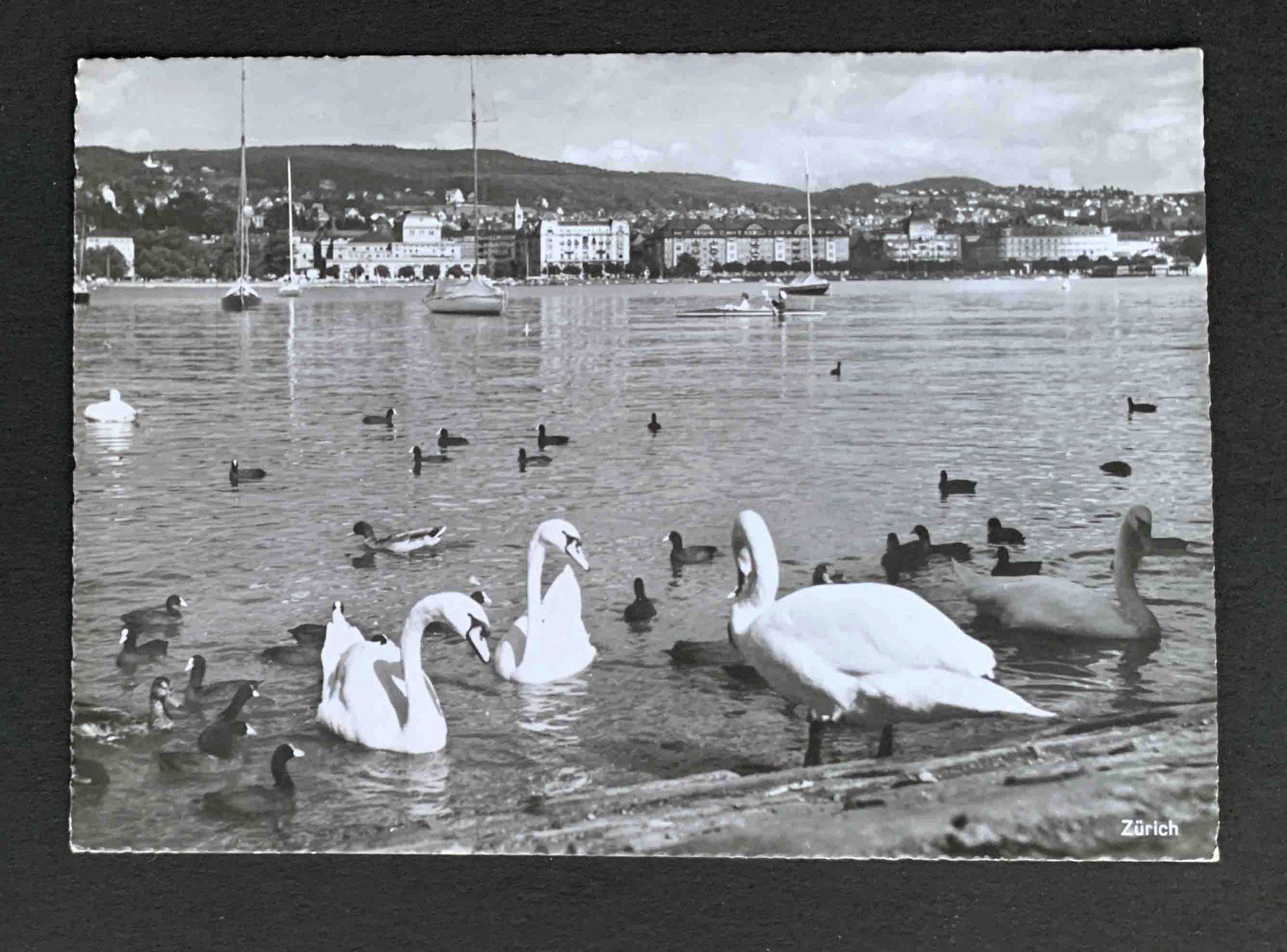 Cartoline postali: AK Zürich – Usato da Goldau venduto da artelier1