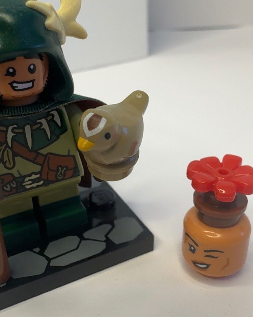 Lego Spielzeuge: LEGO Dungeons & Dragons "Halfling Druid" (coldnd-5) – Gebraucht aus Oftringen von Donovan_- 6