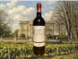 Château de Marbuzet 1988 ! Saint Estèphe