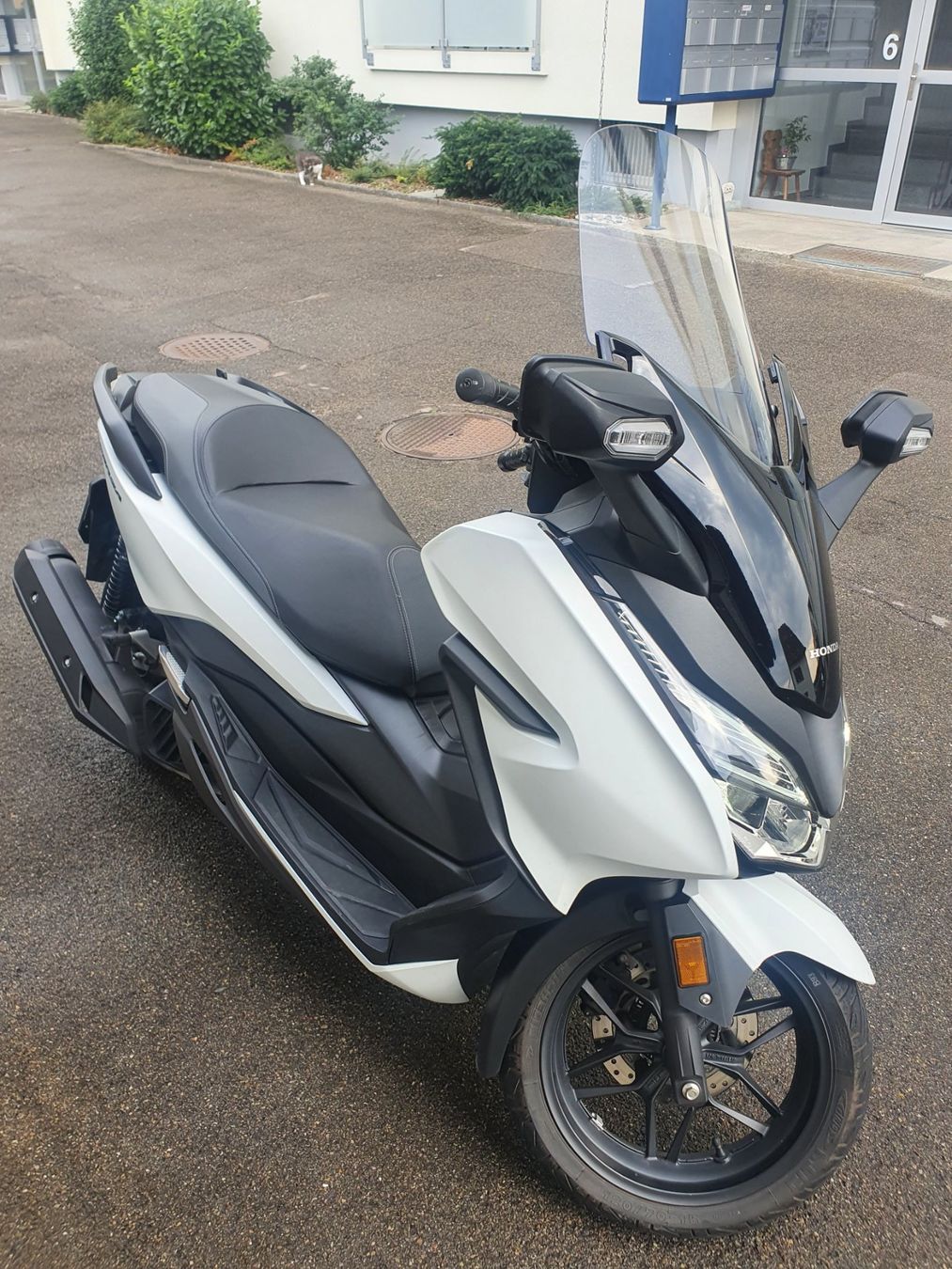 Honda Scooters: Honda Forza NSS 125 AD – Gebraucht aus Schaffhausen von danny133