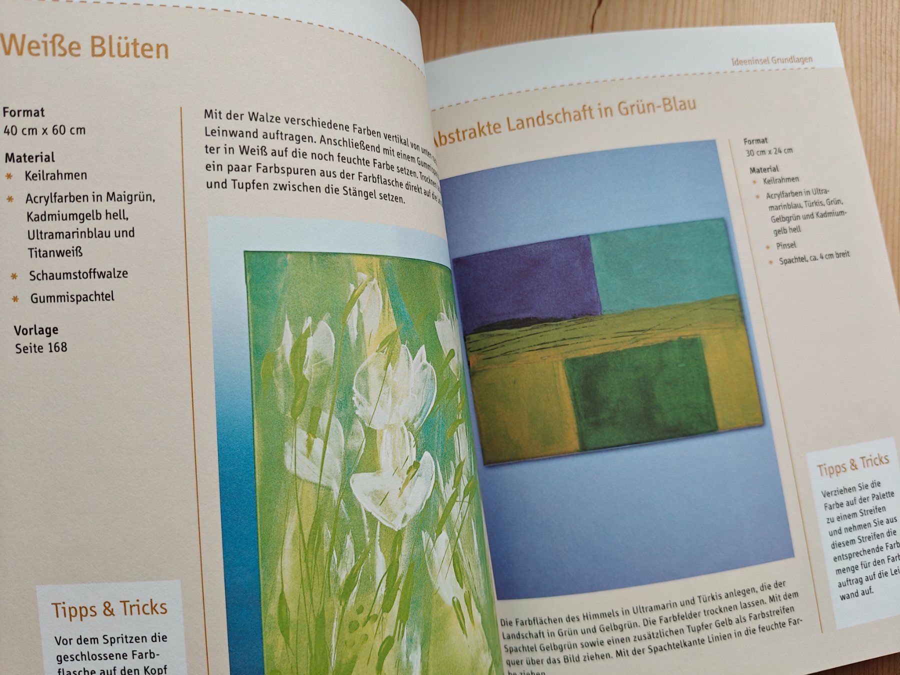 Libri: Acrylmalerei Basiswissen / Topp 2012 (Material & Technik) – Usato da Muttenz venduto da Negnuja 5