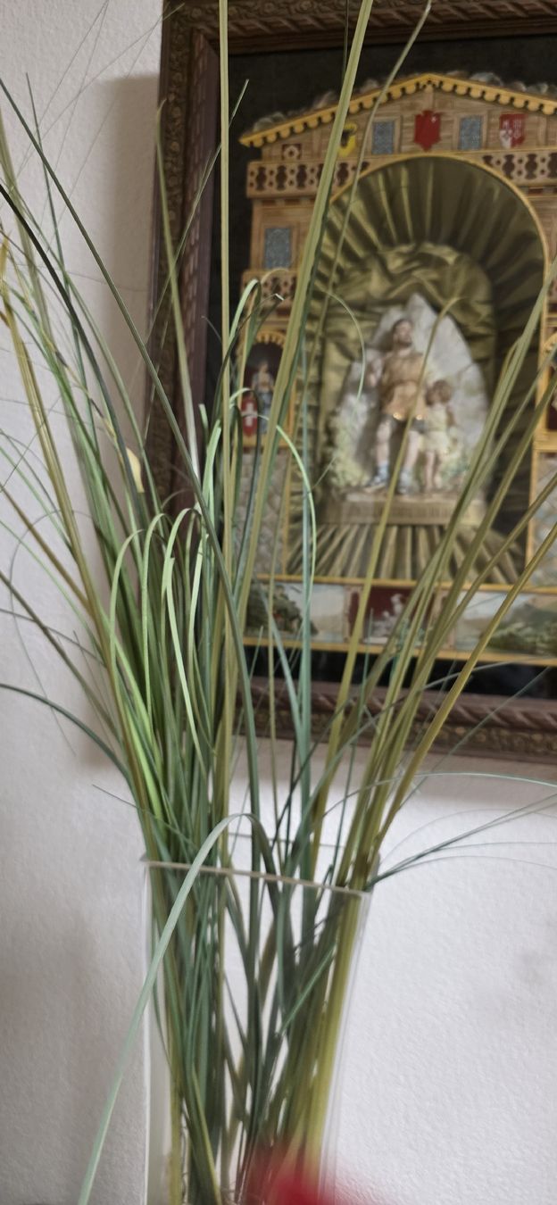 Tutte le decorazioni: Glasvase, Dekosteine, Kunstblumen – Usato da Kaufdorf venduto da Nati-Nati 2