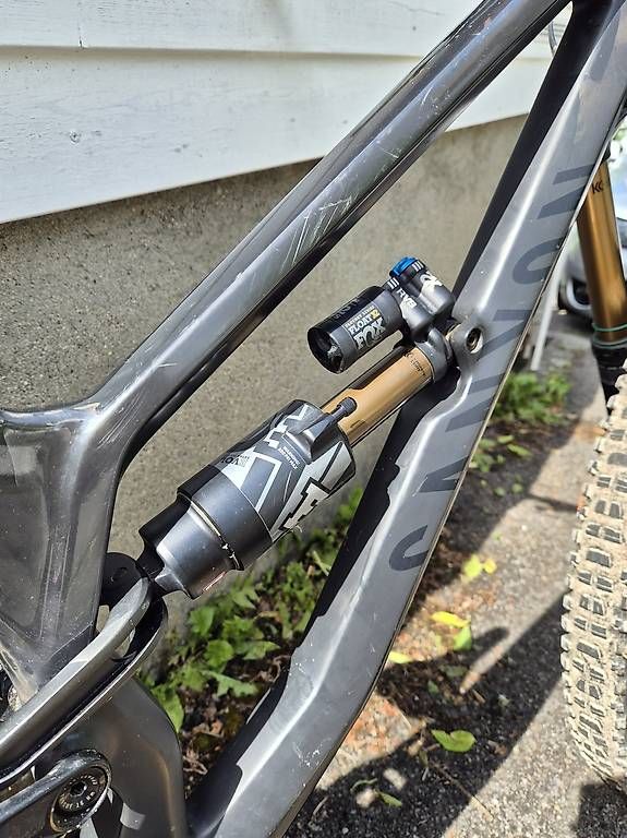 Canyon Biciclette: Canyon Torque CF 9.0 – Usato da Köniz venduto da bas_zl8n 1