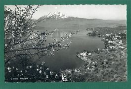 Weggis, 1950, gelaufen