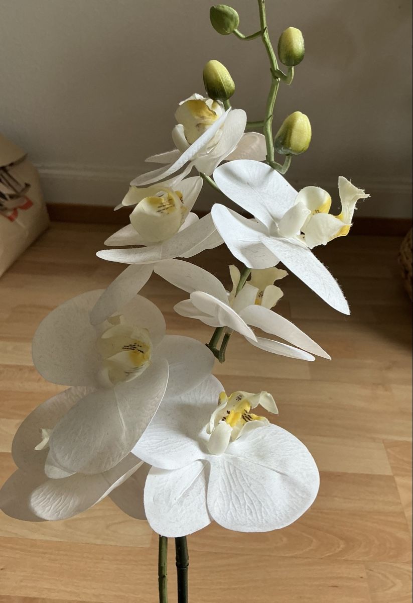 Manor Tutte le decorazioni: Blume – Nuovo (secondo la descrizione) da St.Gallen venduto da nat_7n75 2