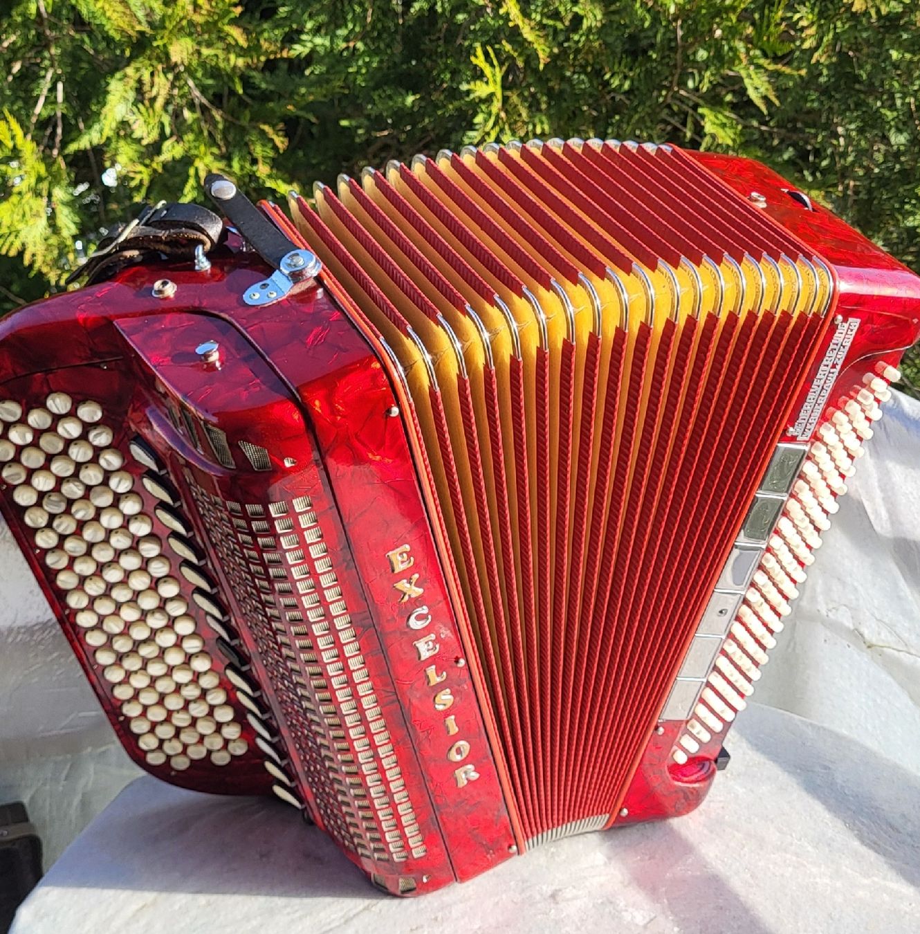 Strumenti musicali: Accordéon Excelsior – Usato da Penthalaz venduto da EvandroLuz 2