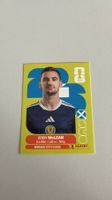Carte panini 2026 - SCO 16