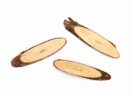 Holzscheibe oval mit Rinde (10Stk.)
