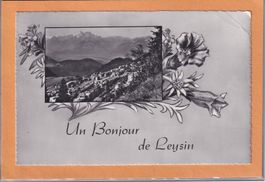 Un bonjour de Leysin - Cadre fleuri - 1966