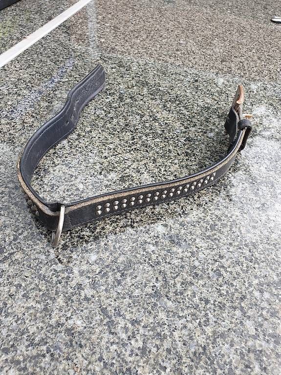 Guinzagli & Collari: Hunde echt Leder Halsband – Usato da Rickenbach LU venduto da trucker.s 1
