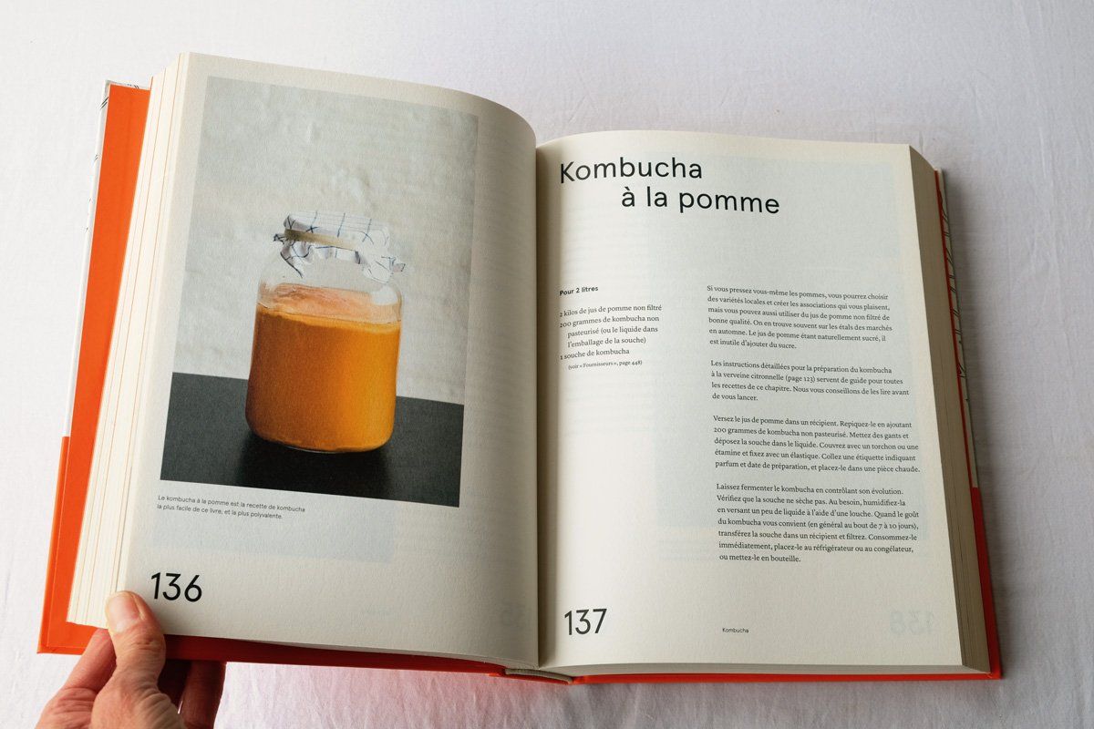 Livres: Le guide de fermentation du NOMA – D'occasion à Morgins par Laurentcorinne 5